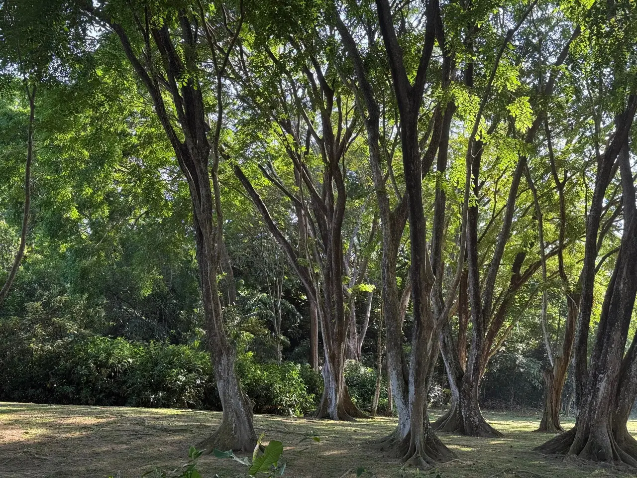 The Rise of AI: A Trigger of Imposter Syndrome