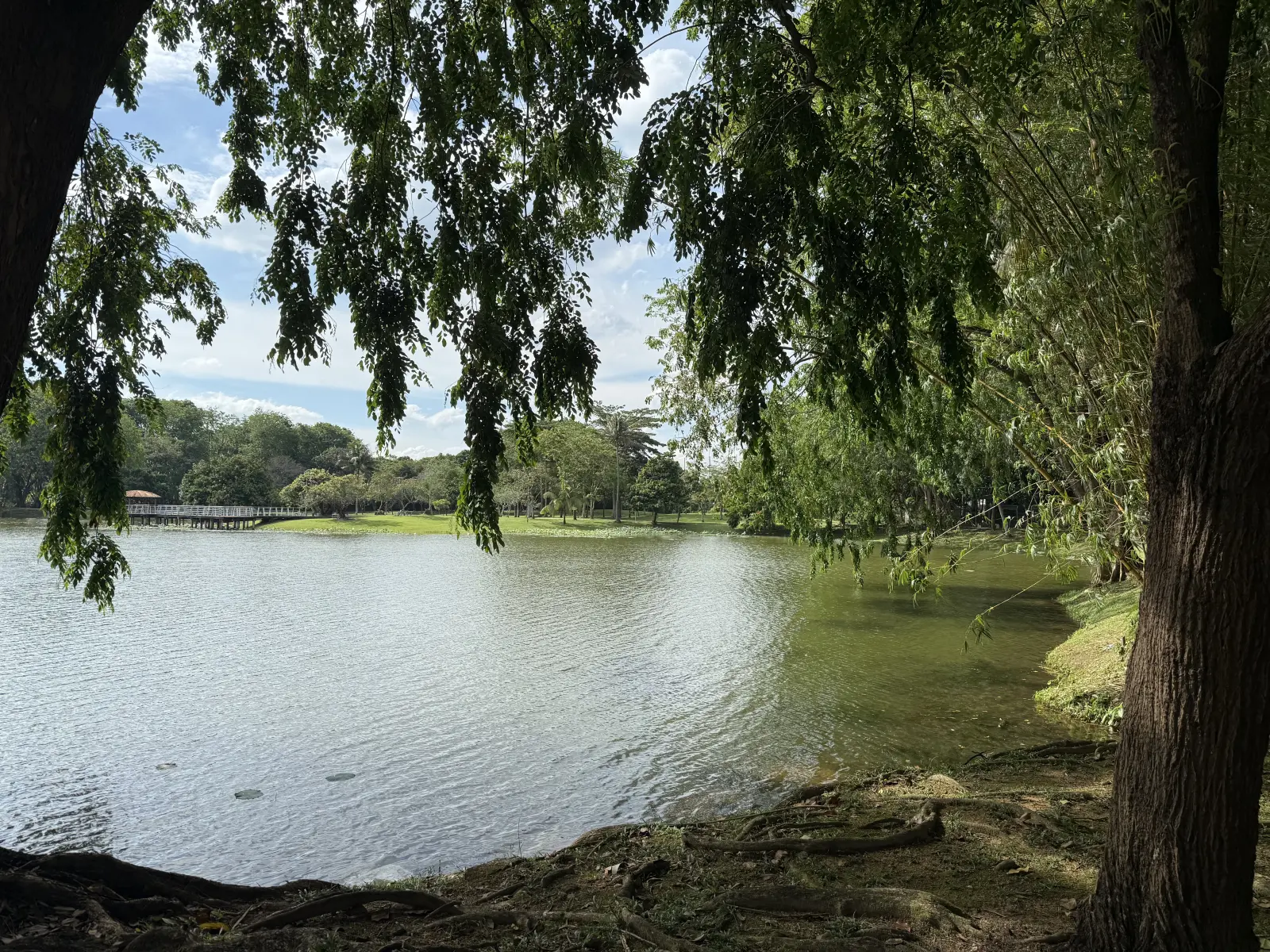 The Remarkable Imposter