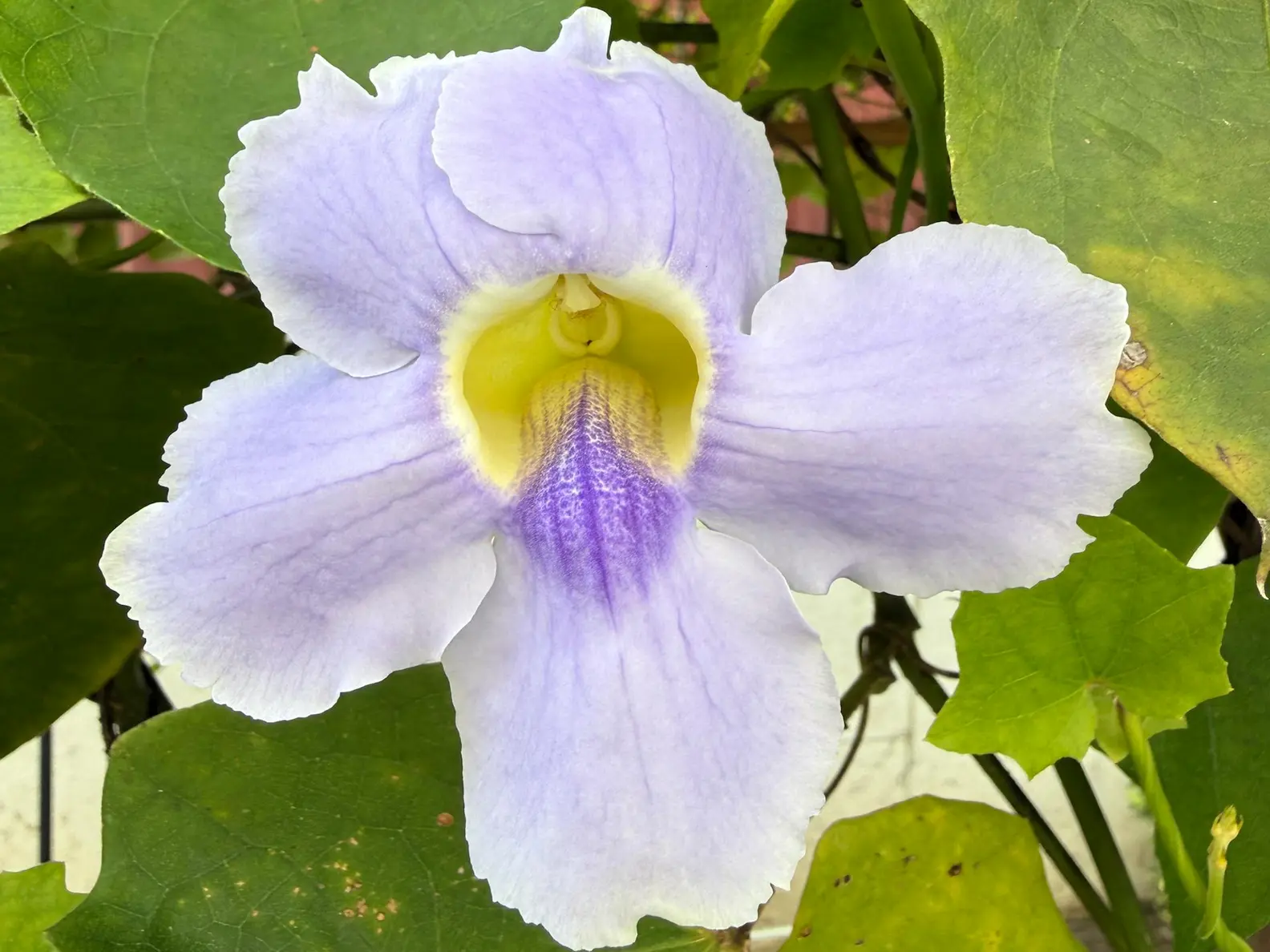 My Losses and How They’ve Shaped My Career Pivots